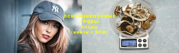 скорость Покачи
