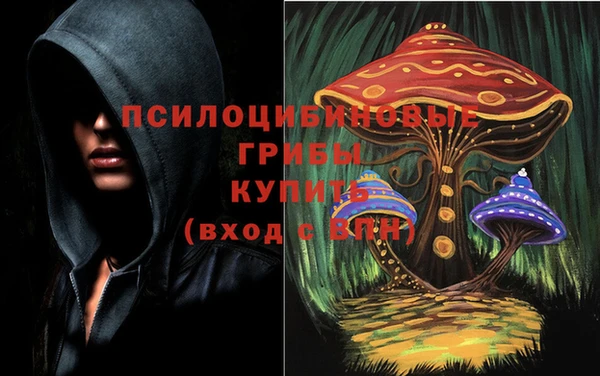 скорость Покачи