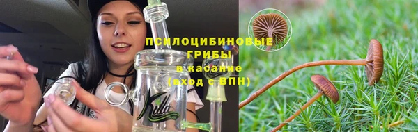 дурь Абдулино