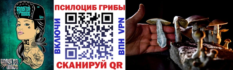 купить   Канск  Галлюциногенные грибы MAGIC MUSHROOMS 
