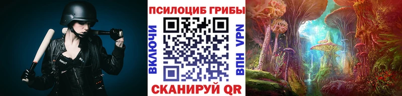 Псилоцибиновые грибы GOLDEN TEACHER Канск